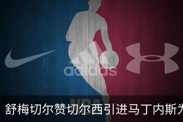 舒梅切尔赞切尔西引进马丁内斯为超值之选